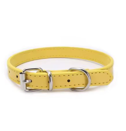 Dog Collar 2.5cm Thickness