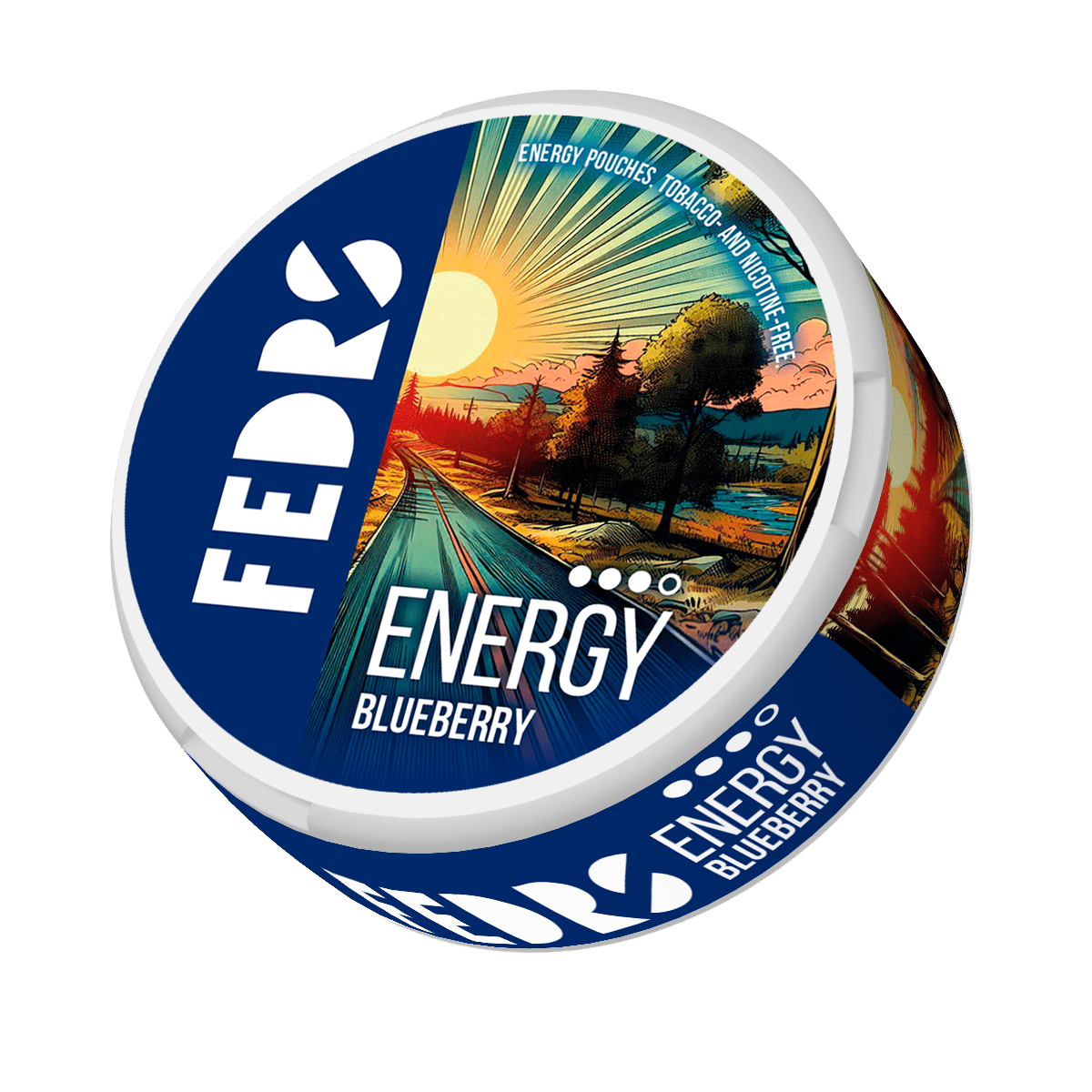 FEDRS Energy Pouches Blueberry (Land) 65mg