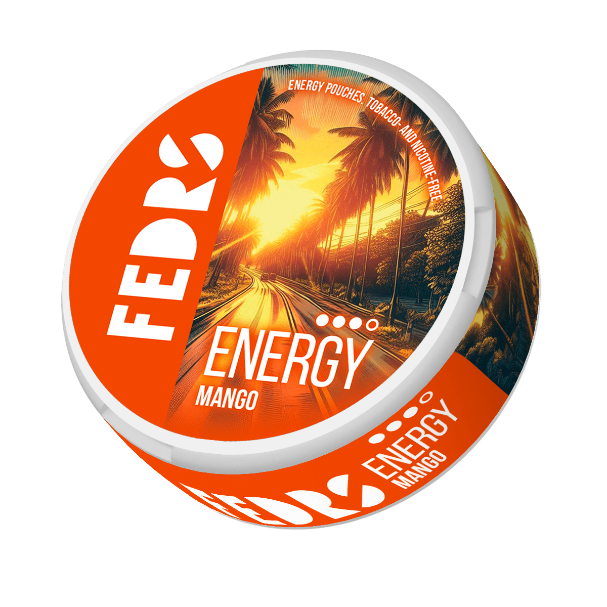 FEDRS Energy Pouches Mango (Land) 65mg