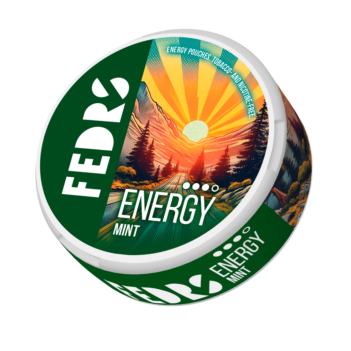 FEDRS Energy Pouches Mint (Land) 65mg