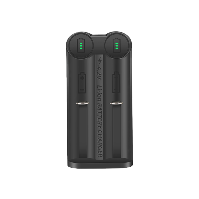 Maxicell MX2 2-Slot Battery Charger