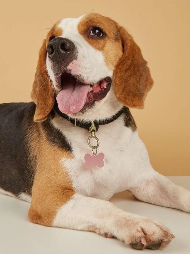 Metal Bone Dog Tag x2