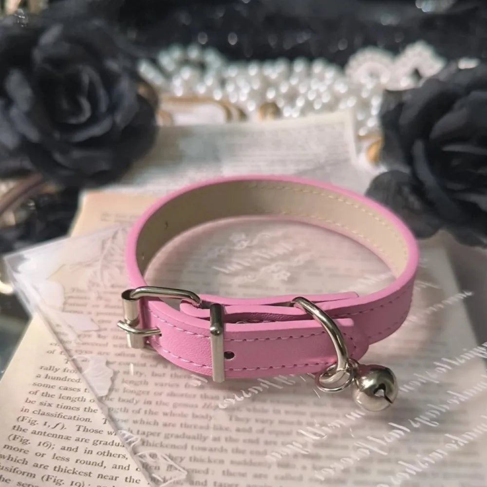 Dog Collar 2.5cm Thickness