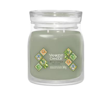 Yankee Candle Signature Medium Jar Olive & Cypress 368g