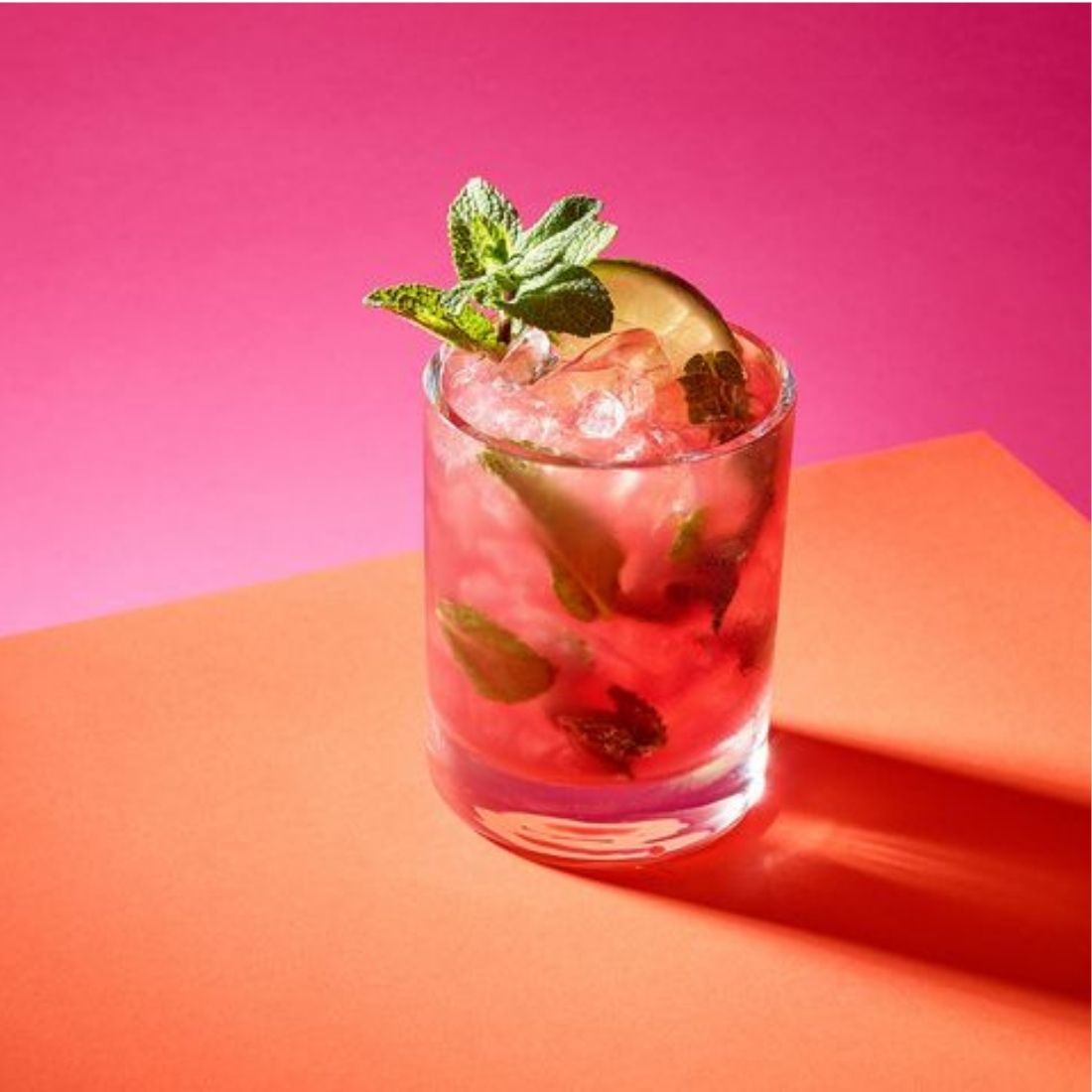 B/S Blackcurrant Mojito Concentrate