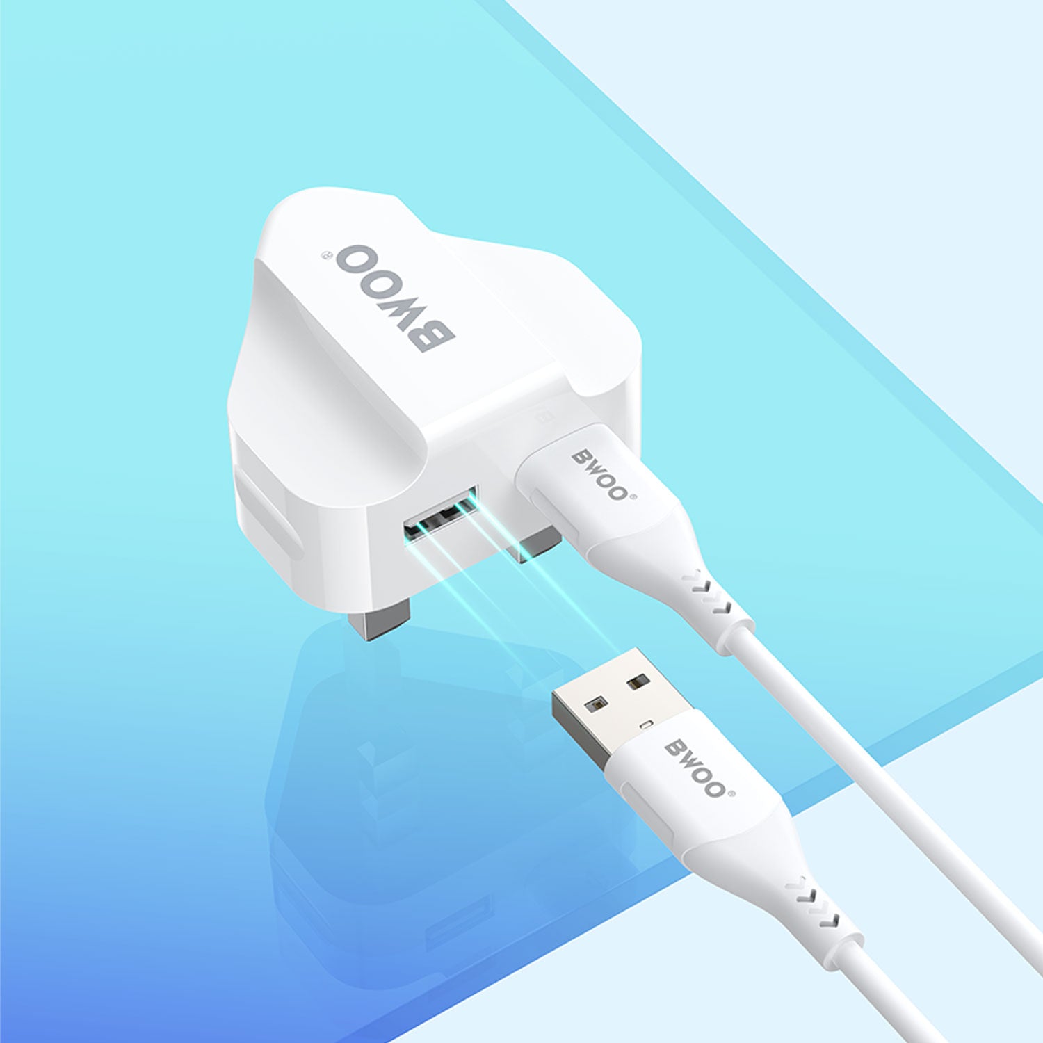 BWOO 2.1A Fast Charging Dual USB Ports Wall Charger CD-A09