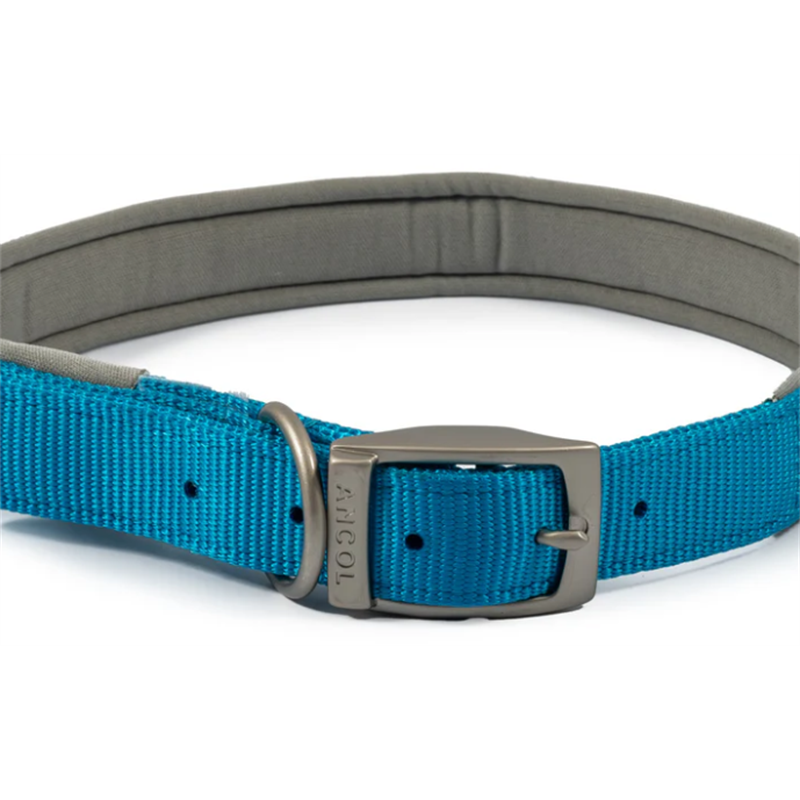 Ancol Viva Nylon Dog Collar 2cm Thickness With Metal Buckle