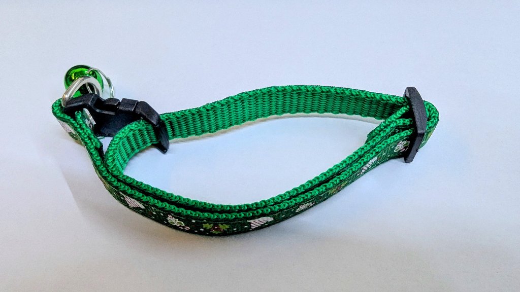 Pet Collar 25cm
