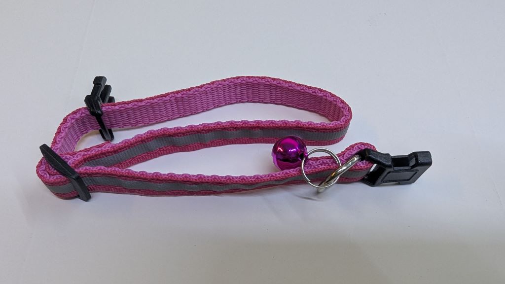 Pet Collar 25cm