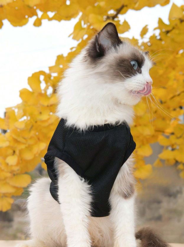 Trouble Maker Pet Vest