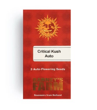 Barney's Farm Critical Kush Seeds