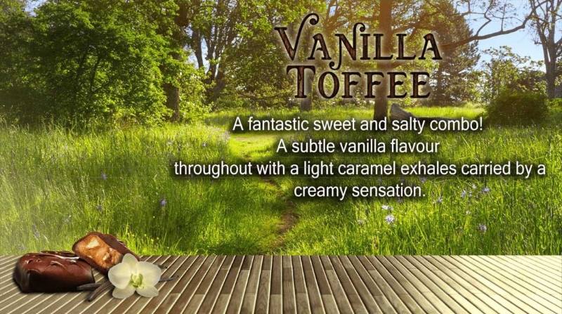 Shop Vanilla Toffee Flavoured Nic Salt